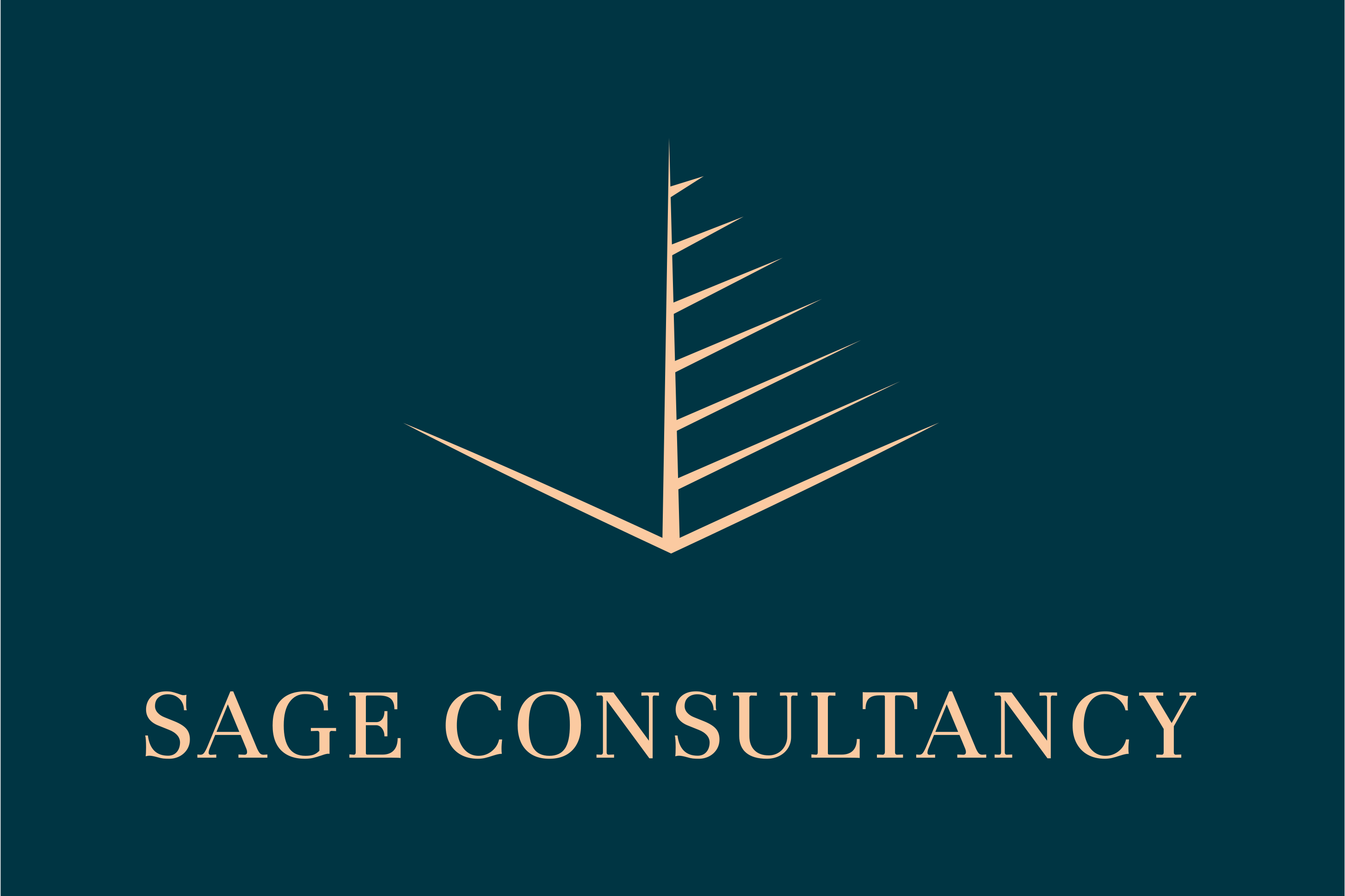 Sage Consultancy